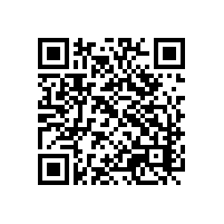 AI报关系统帮忙分担的压力？越南有关务软件品牌介绍吗？