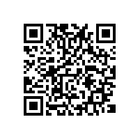 AI报关系统靠什么性能闻名？越南关务软件有好选择嘛？