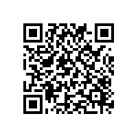 ai广州软件是否支持多模式申报？深圳企业挑选关务系统品牌应关注啥？