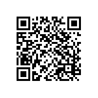 安全报关云平台适配何种企业？苏杭第三方通关平台有啥优势？