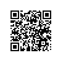 安全越南报关软件支持中文的体现？数据还能永久保存应对问题？