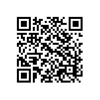 报关AEO认证顾问的专业性如何体现？湖南地区付费关务咨询是否可靠？