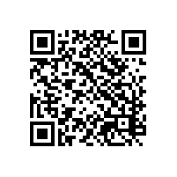 报关操作系统被语言限制？这套越南版关务软件中越英三语可供选择！