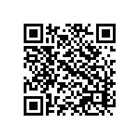 报关风险课程一般教啥？用越南关务系统更便利吗？