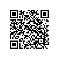 报关忙别害怕，越南报关系统来帮忙！信息化通关软件推荐！