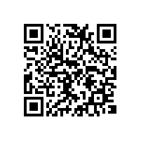 报关软件帮玩具制造业工厂占据先机？湖北报关软件助玩具制造业工厂符合规定？