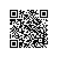 报关软件能协助企业面临海关处罚的风险吗？中资企业在越南使用的关务软件实用吗？