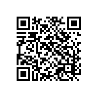 报关软件系统有什么样的企业会用？湖南地区的报关系统可以提供更多的功能吗？