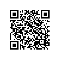 报关软件系统有什么样的企业会用？湖南地区的报关系统可以提供更多的功能吗？