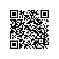 不会看越南语啊，越南关务系统有中文界面操作？