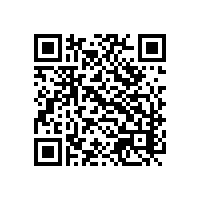 出差到越南了但是不懂怎么报关？越南智能关务系统能帮到我吧？