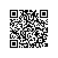 出口电子视听产品使用关务软件如何？湖南系统性价比高吗？