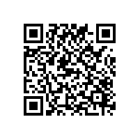 出口服饰能让自动化关务系统排上用场？东莞合适的电子软件品牌推荐？