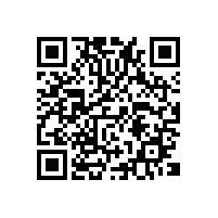 操作报关系统被语言限制？这套越南版关务软件中越英三语可供选择！