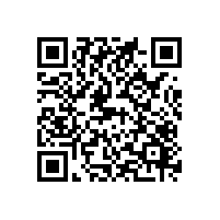 东北AEO认证辅导机构跟企业长期发展吗？哪家AEO辅导团队有经验够细心？