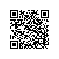 东北新材料企业怎样才能成为aeo认证？aeo认证关务辅导哪家服务比较好？