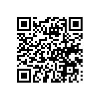 东莞企业找哪家品牌的报关软件符合标准？谁家的aeo认证关务系统更有用？