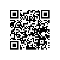 灯具饰品厂出口有难度嘛？中山需要用AEO电子关务软件吗？