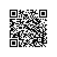 电汽车ai报关软件的广泛应用？川渝如何挑选靠谱的供应商？