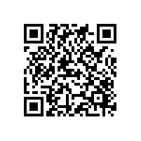 大企业要aeo认证辅导软件有哪些推荐？有aeo认证辅导软件对企业有啥优势？