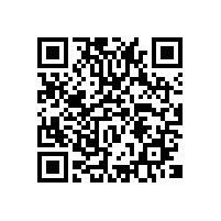 电算化报关系统帮忙分担的压力？越南有关务软件品牌介绍吗？