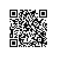 多语言支持系统对越南企业的国际业务的重要意义吗？什么因素是中资企业在越南选择关务软件要重点考量的？