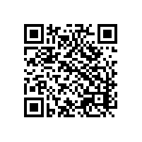 电子9610通关平台让效率翻倍？苏州AEO报关平台能否对接各种系统？