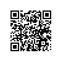 电子报关系统被语言限制？这套越南版关务软件中越英三语可供选择！