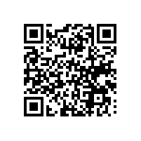 电子付费报关软件有啥突出的？选择肇庆关务系统时应注意什么？
