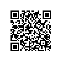 电子企业是如何评估关务软件系统的稳定与安全性？江西南昌关务系统如何帮助企业适应复杂贸易环境？