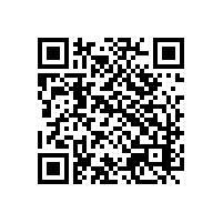 付费9810通关平台优点？用福建AEO报关软件能否提升效率？