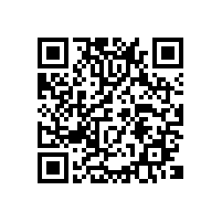 付费AEO报关系统哪些品牌适合东莞毛绒玩具出口企业？