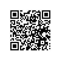 付费AEO关务老师团队能够精准解除痛点？浙江第三方顾问的特色服务！