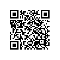 付费报关平台增效方式？苏州saas通关平台选择注意事项？