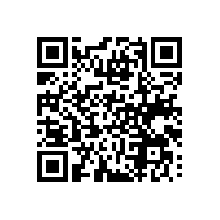 付费通关系统对AEO认证的影响？杭州过经管者认证关务软件是必需的吗？