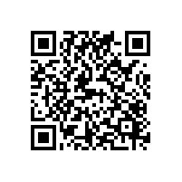 福建aeo认证辅导软件能辅助认证进度不？小作坊有必要用带软件的 AEO 辅导机构不？