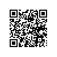 工厂的报关软件会影响价格吗？广西企业报关软件系统开发成本高吗？