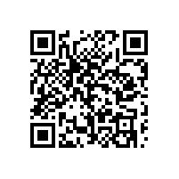 工厂日常报关单证审核有哪些要点？在河北报关系统，哪款单证审核功能强大？