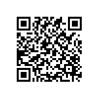 广东广西报关云平台的技术精湛？推荐的安全智能通关平台？