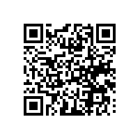 高级aeo认证适合江西布娃娃企业吗？江西找谁辅导会成为aeo高级认证？