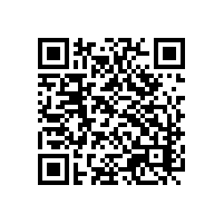 更加直观地展示关务管理系统的优秀？越南有实际运用案例？