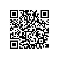 关务报关系统一般哪些外贸工厂用的上？湖南长沙进出口报关关务软件哪家系统稳定售后好？