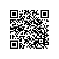 关务报关系统一般哪些外贸工厂用的上？广州珠海进出口报关关务软件哪家系统稳定售后好？