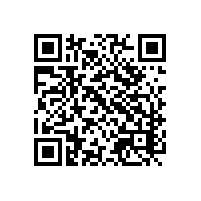 关务从业者运用通关系统的便利？江苏功能全面的报关软件有么？