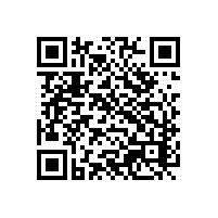 关务电子管理软件能优化越南进出口报关管理？通关系统建议哪种？