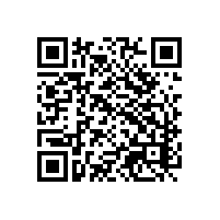 关务辅导顾问帮企业识别报关风险的方法？东莞经管者认证培训服务价值？