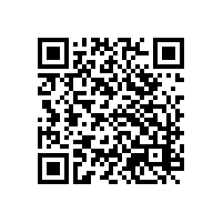 关务系统能帮助企业优化进出口流程？外贸企业使用的关务系统提供哪些支持？