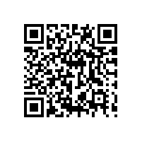 广西企业对报关系统的要求是什么？关务软件能帮企业做管理吗？