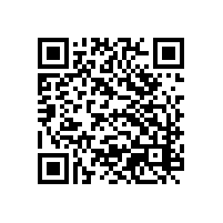 关于AEO高级认证企业做的真正意义是什么？湖南外贸企业选用的AEO辅导团队机会更大吗？