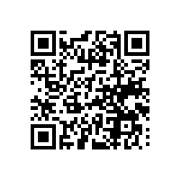 广州saas通关平台为何称高速通道？报关云平台的好选择是？